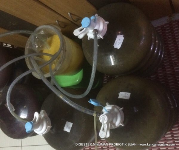 Digester Sari Buah Probiotik (6)